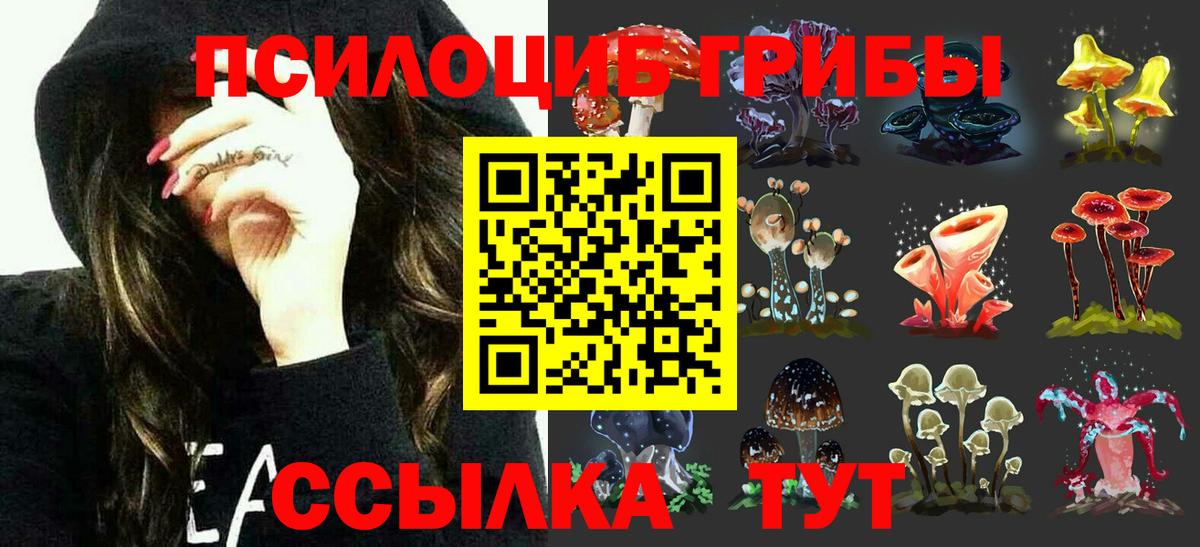 Фролово  Псилоцибиновые грибы GOLDEN TEACHER  Вход с VPN  Галлюциногенные грибы Psilocybe 